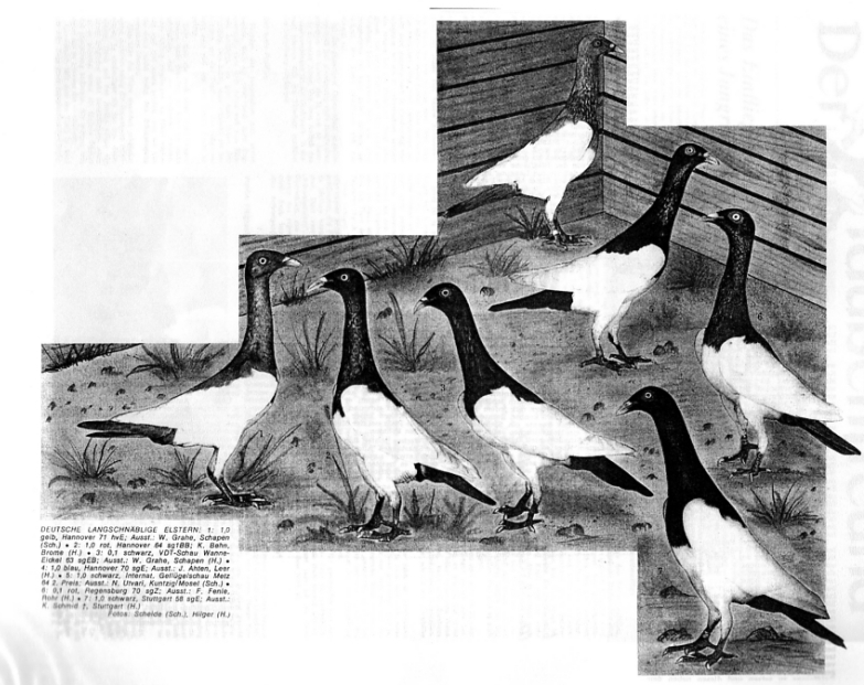 Geschichtliches aus 1970.jpg