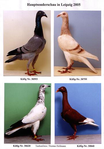 Bilder Leipzig 4 klein.jpg